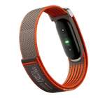 Google Fitbit Air